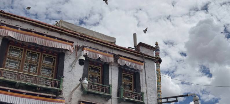 拉萨金幡宾馆(西藏大学河坝林校区店)图片