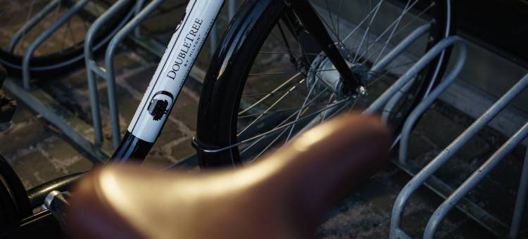 阿姆斯特丹希尔顿逸林酒店-NDSM码头(DoubleTree by Hilton Amsterdam – Ndsm Wharf)图片