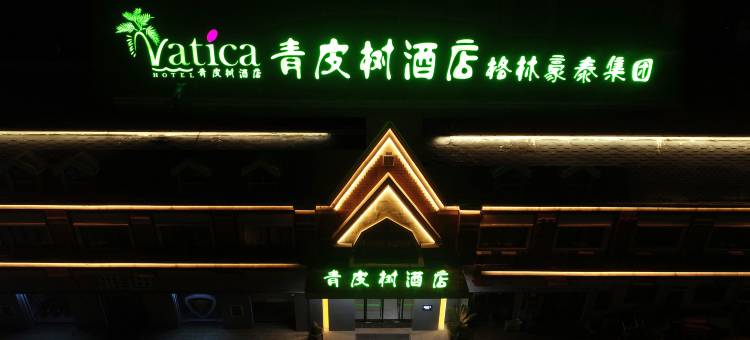 青皮树酒店(灵璧钟灵大道店)图片