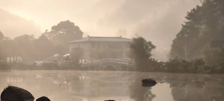 桐柏县禺峰野茶园民宿图片