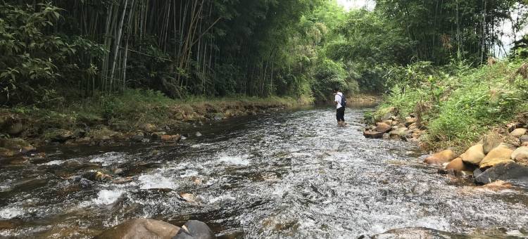 楠溪•云墅美宿(龙门南昆山三寨谷生态旅游度假区店)图片