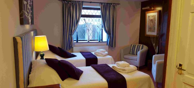 OYO 胡桃树(OYO The Walnut Tree)图片