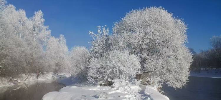 凇园宾馆(逊克大平台雾凇风景区店)图片