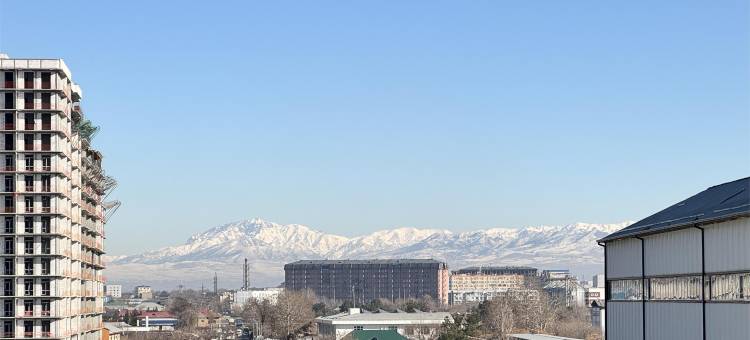格拉纳特米尔酒店(Garnet Mir Hotel)图片