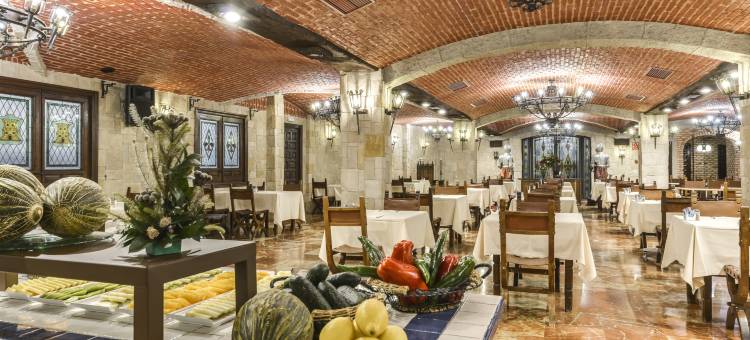 赛尔科特尔阿方索六世酒店(Sercotel Alfonso VI)图片