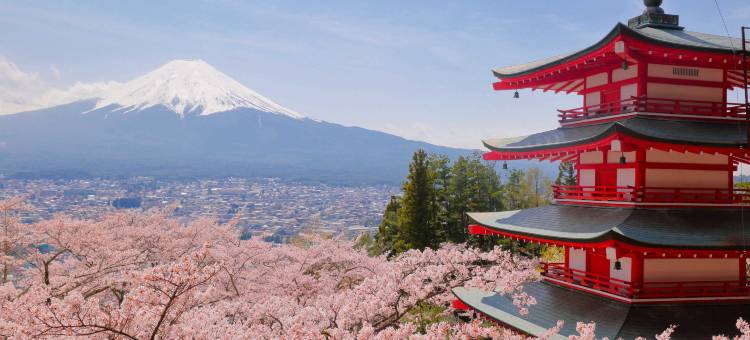Shizuku旅馆-带富士山景观和私人桑拿(12岁及以下儿童不可入住)(Mt Fuji View and Private Sauna Ryokan Shizuku(No accommodation for 12 years old and below))图片