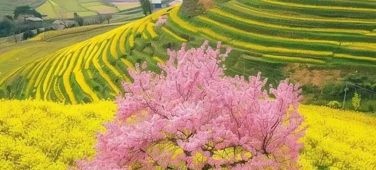 西溪云外·villa设计师晒秋美宿(婺源篁岭景区店)图片