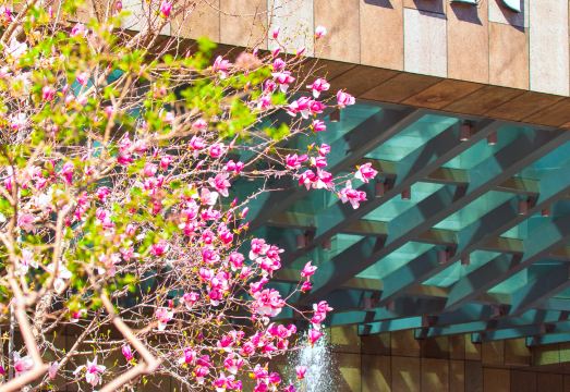 The Westin Beijing ChaoyangHotel Overview