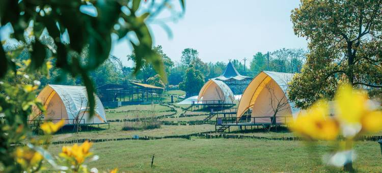 半岛计划SoulH图片