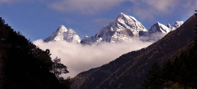 归山牧云民宿(四姑娘山店)图片