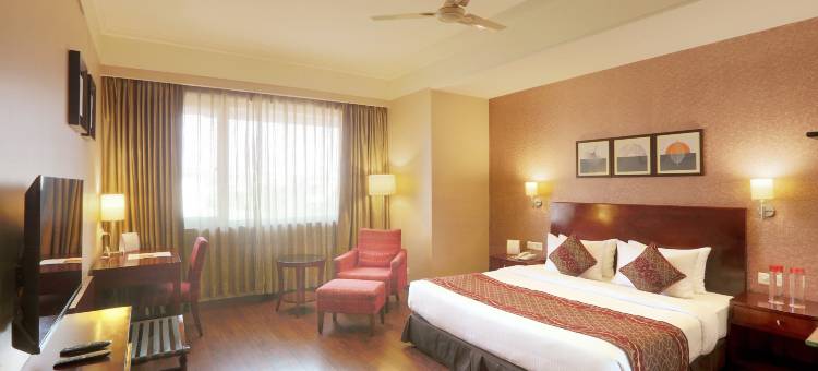 维斯塔孔雀宫酒店(Vesta Maurya Palace)图片