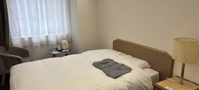 特托拉斯普利札幌酒店(Hotel Tetora Spirit Sapporo)图片