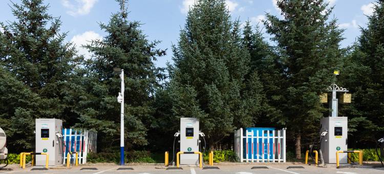 西乌旗乌珠穆沁宾馆(文化广场生态公园店)图片