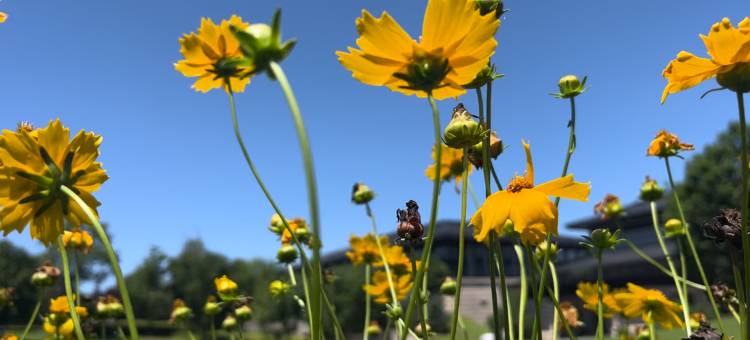 沈阳棋盘山绿地铂瑞酒店图片