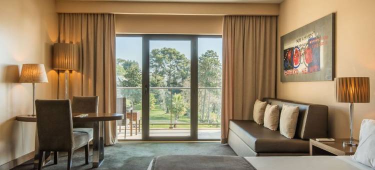 帕拉慈奥德斯艾克丝格尔别墅酒店(Vila Gale Collection Palácio Dos Arcos)图片