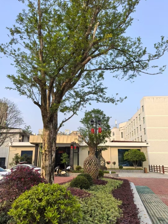 Yuanling Hotel Over view