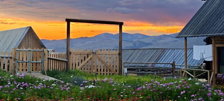 白哈巴澜风民宿图片