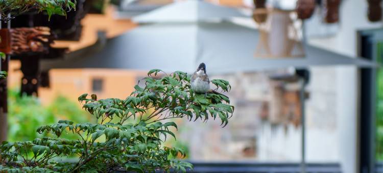 隐山梵野·‌Serenity‌设计师美宿(沙溪古镇店)图片