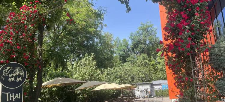 万好·日升花园酒店(埃米帖木儿广场华人酒店)(Sunrise Hotel)图片