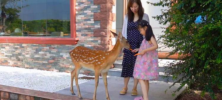 南通奇妙农场亲子假日酒店图片