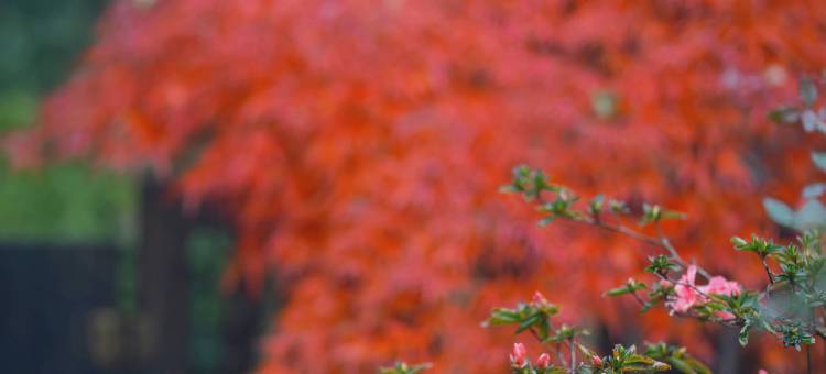 雲亼·曙光里图片