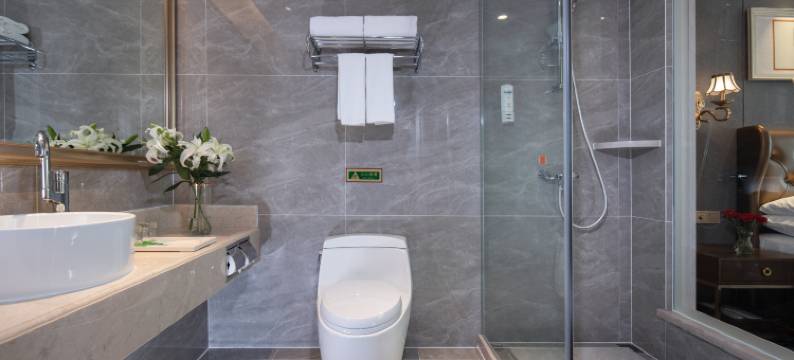 维也纳国际酒店(绵阳市政府高铁站店)图片