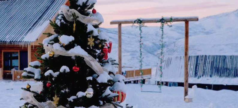 白哈巴野自在民宿图片