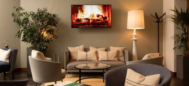 学者(The Scholar)图片