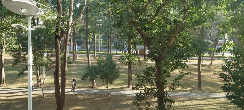 新光阁商务旅馆图片