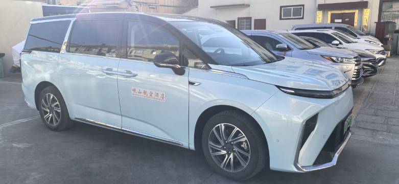 拉萨岷山航空酒店(布达拉宫店)图片