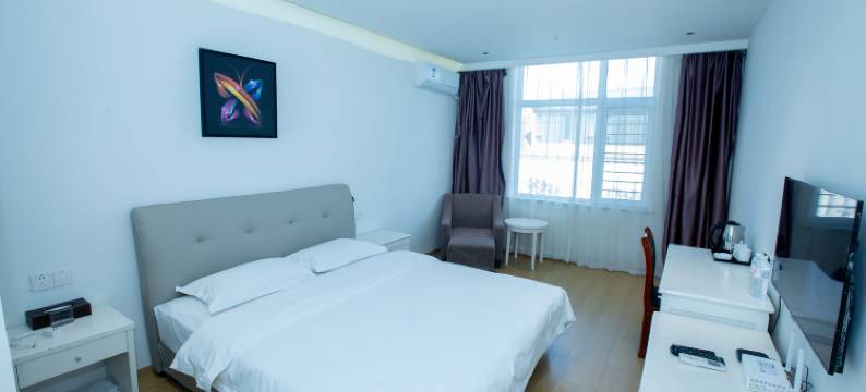 大名铂金假日酒店(大名明清古城店)图片