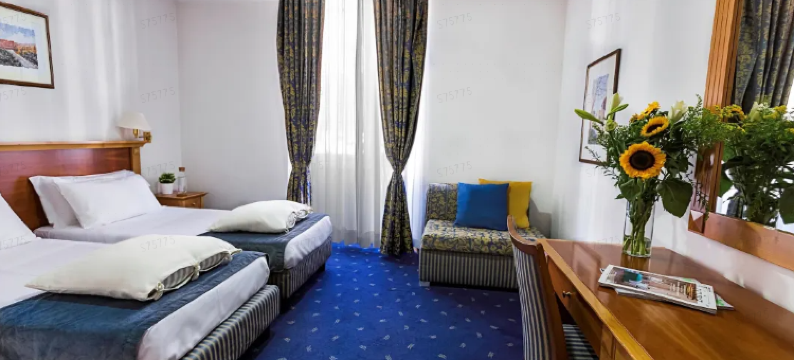 外交官酒店(Hotel Diplomatic)图片