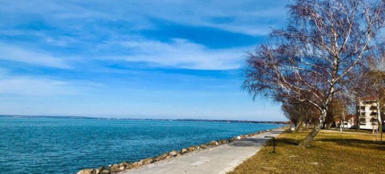 希欧福克奥利弗别墅2号公寓(Villa Oliver 2 Siófok)图片