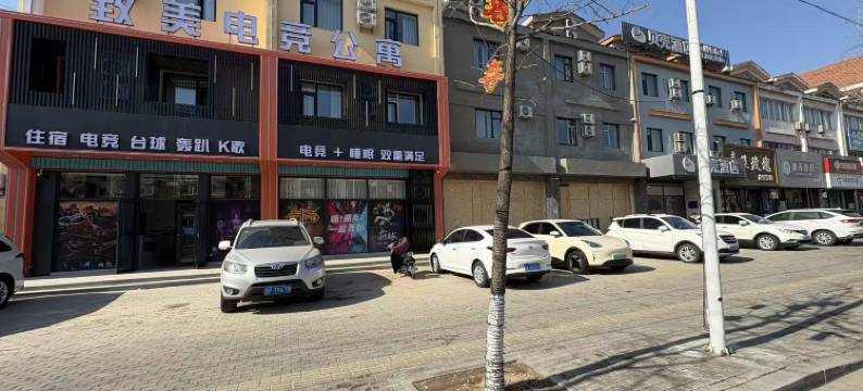 致美电竞公寓(葫芦岛学院附中店)图片