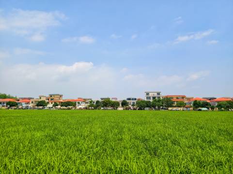 稻梦空间民宿(中山崖口店)图片