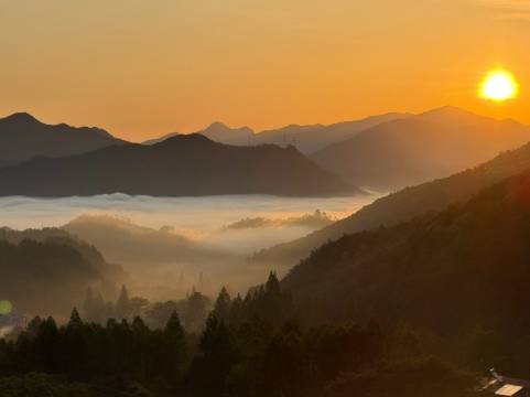 黄山凤还巢民宿(黄山风景区店)图片