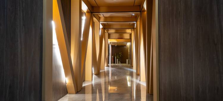 帕拉纳克市Skyport NAIA机场附近酒店(Skyport Hotel near NAIA Airport Paranaque City)图片