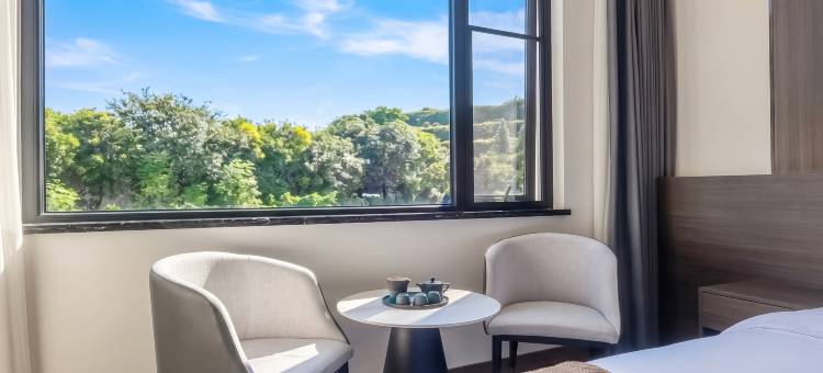 安溪舟美·揽山拾光Scenic View智能轻奢酒店(龙门正港温泉店)图片