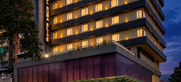瓦多达拉苏巴精英酒店(Hotel Suba Elite Vadodara)图片