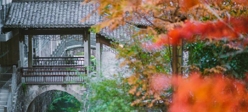 金浦东邑酒店(黄山风景区南大门店)图片