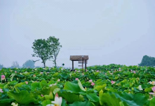 Feixi Changzhuang HeyuanHotel Overview