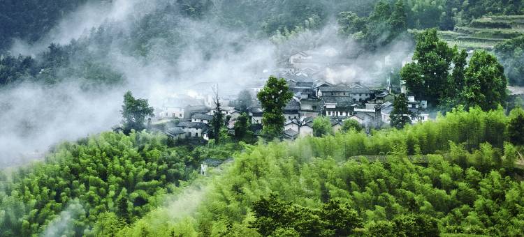 松阳云里听蛙民宿图片
