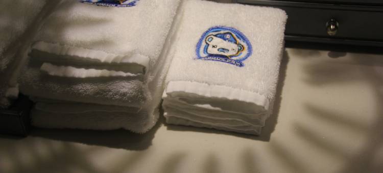 成都新都假日酒店图片