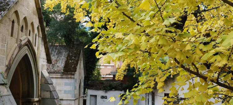 栖隐烟山民宿(福州烟台山店)图片