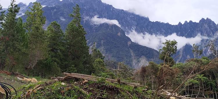 Wisma Orchid Homestay Tuaran图片