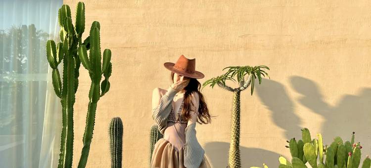 非洲假日野奢酒店图片