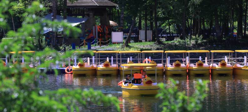 长白山万达喜来登度假酒店图片