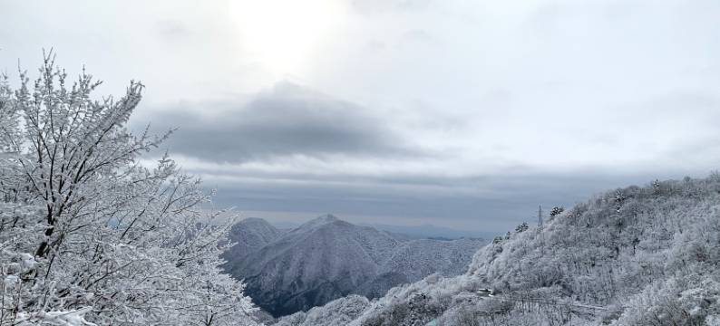 旅笼Nagomi温泉酒店(Hatago Nagomi)图片