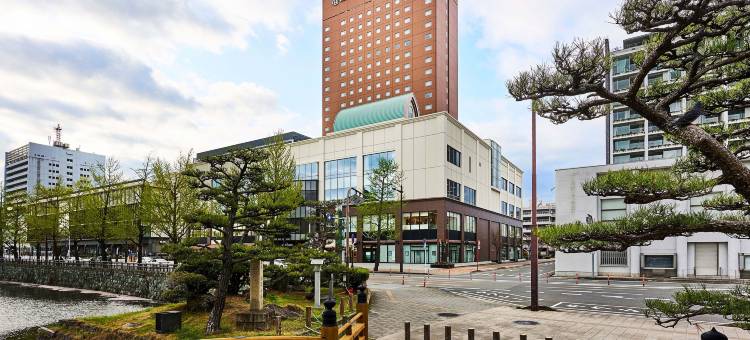 和歌山大和ROYNET酒店(Daiwa Roynet Hotel Wakayama)图片