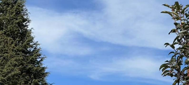 沧澜名邸设计师观景民宿(丽江古城店)图片